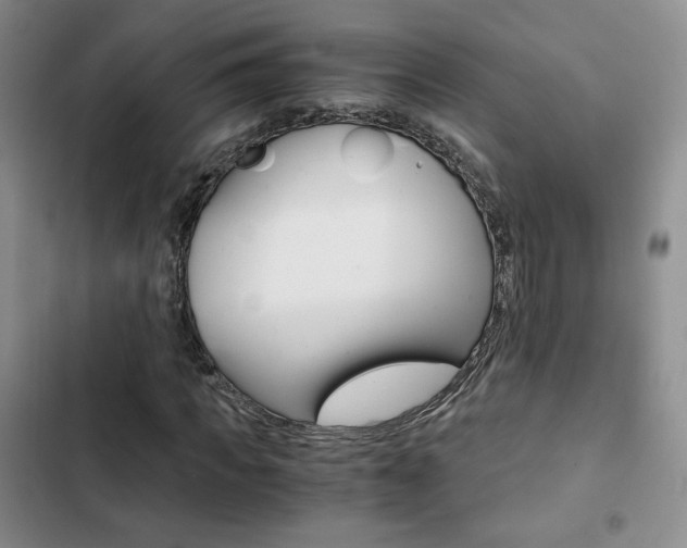 X0000103160917200808221148