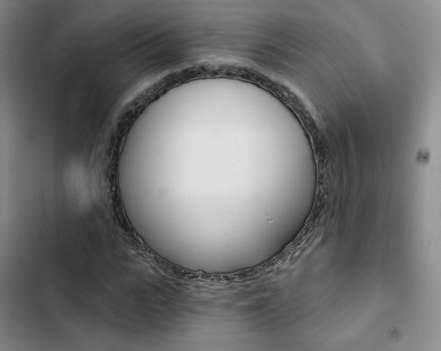 X0000103160919200808221148