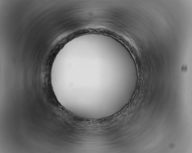 X0000103160920200808221148