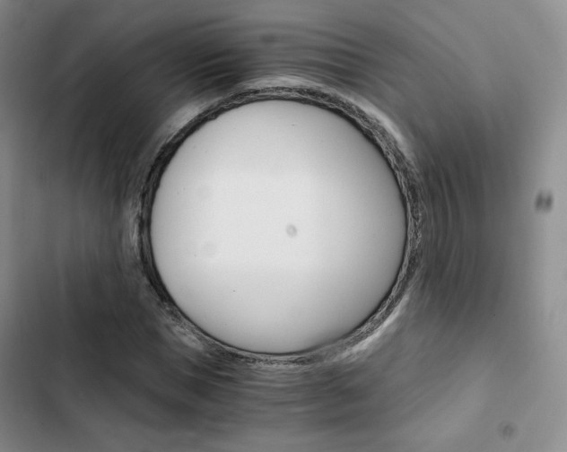 X0000103160921200808221148