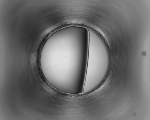 X0000103160922200808221148