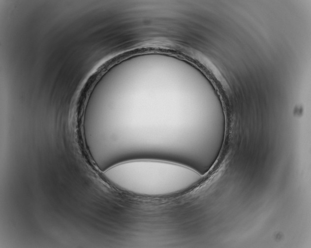 X0000103160923200808221148