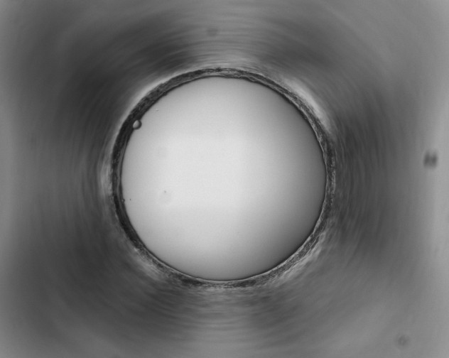X0000103160924200808221148