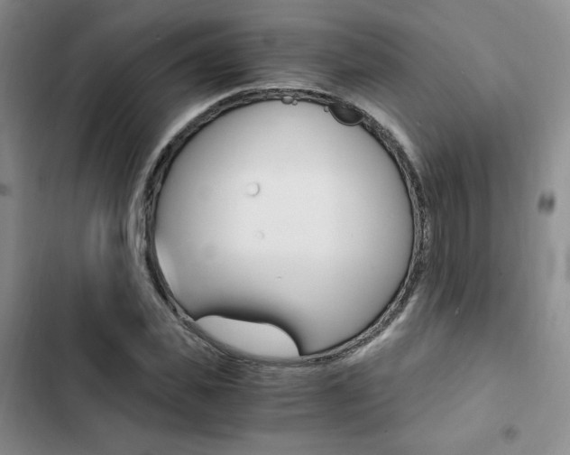 X0000103160925200808221148