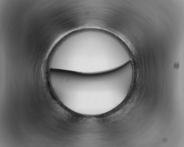 X0000103160926200808221148