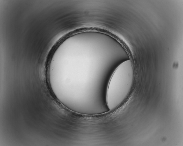 X0000103160927200808221148