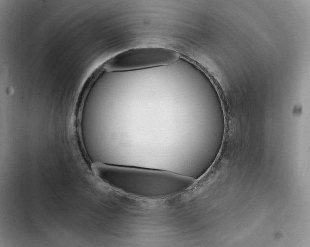 X0000103160928200808221148
