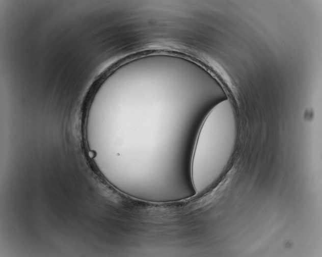 X0000103160931200808221148