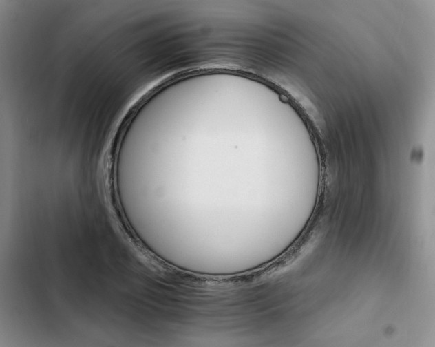 X0000103160933200808221148