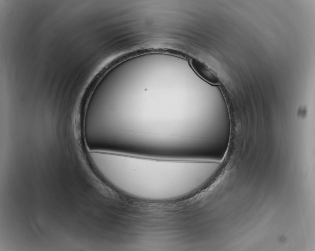 X0000103160934200808221148