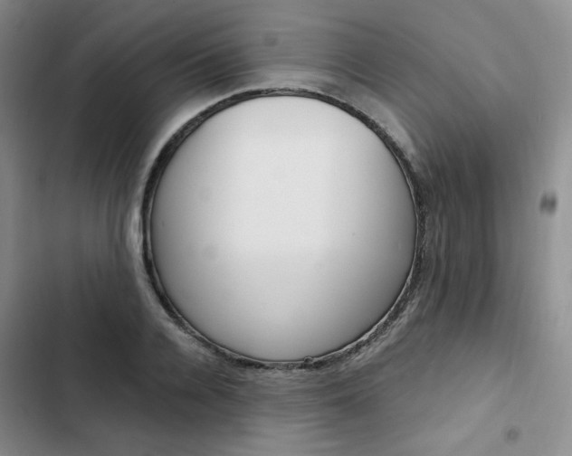 X0000103160936200808221148
