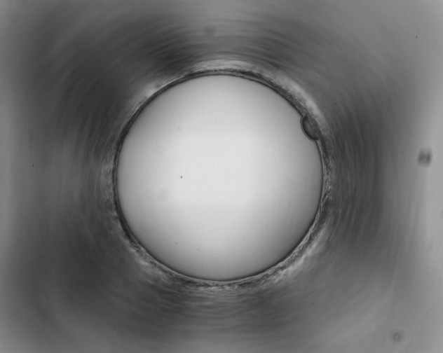 X0000103160937200808221148
