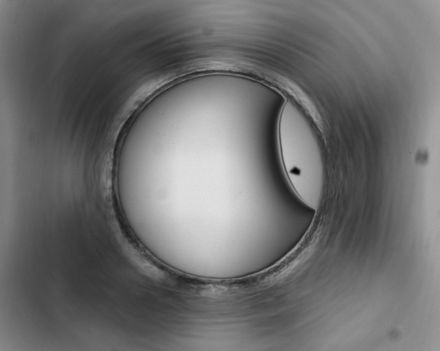 X0000103160938200808221148
