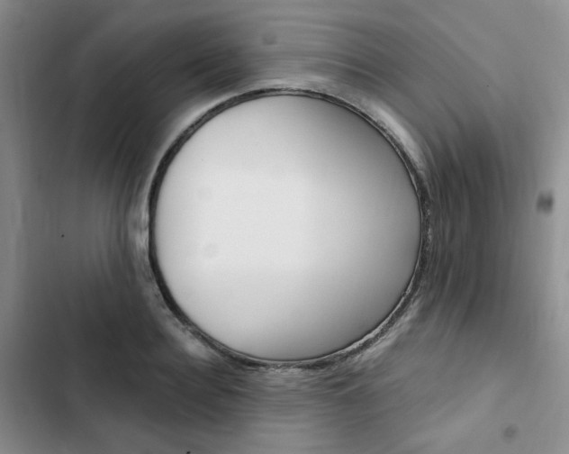 X0000103160940200808221148