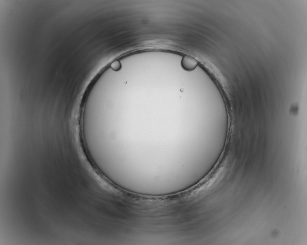 X0000103160941200808221148
