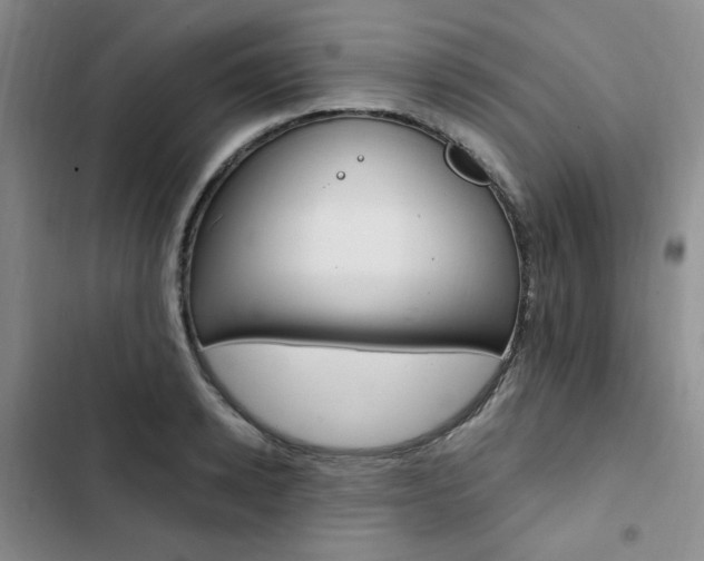 X0000103160942200808221148