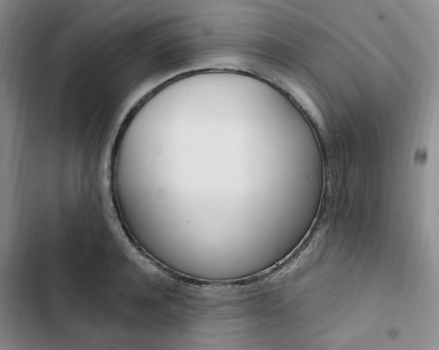 X0000103160944200808221148