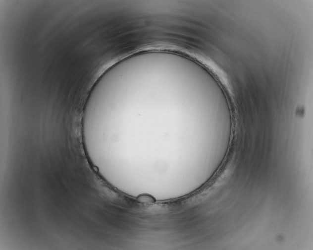 X0000103160945200808221148
