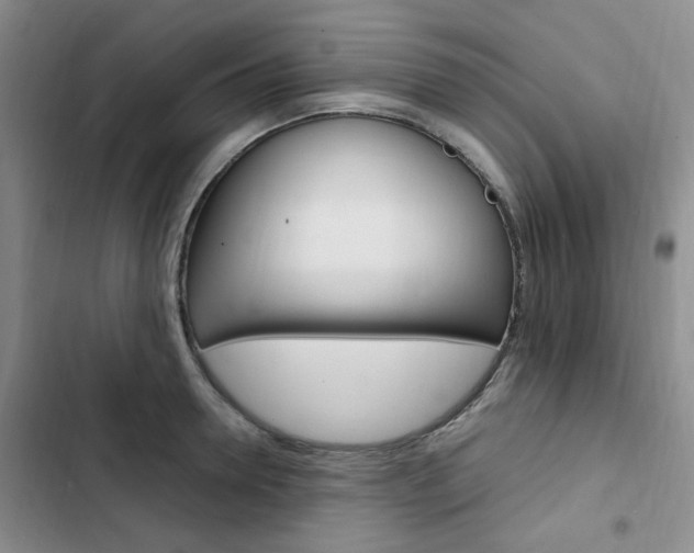 X0000103160946200808221148