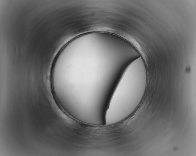 X0000103160947200808221148