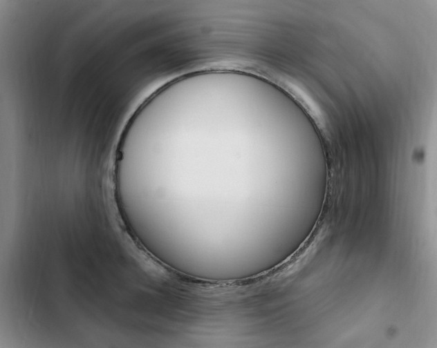 X0000103160948200808221148