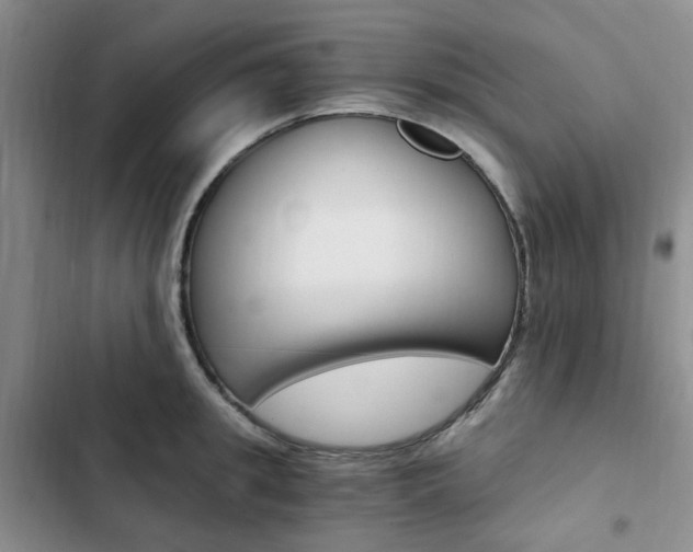 X0000103160949200808221148