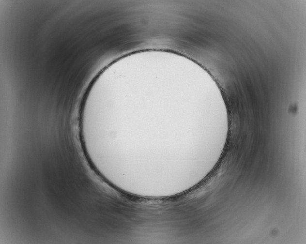 X0000103160950200808221148