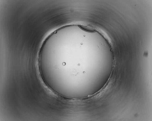 X0000103160952200808221148