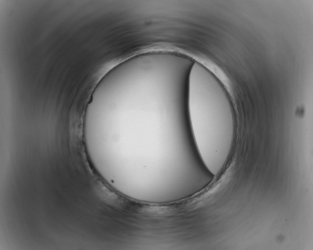 X0000103160953200808221148