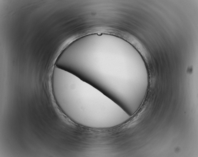 X0000103160954200808221148