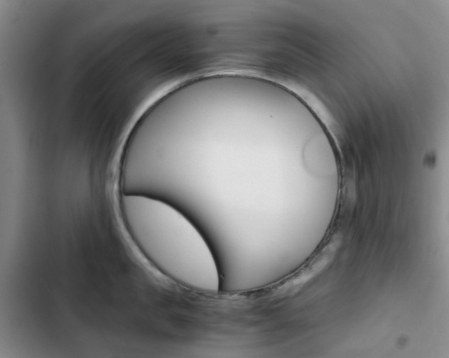 X0000103160957200808221149