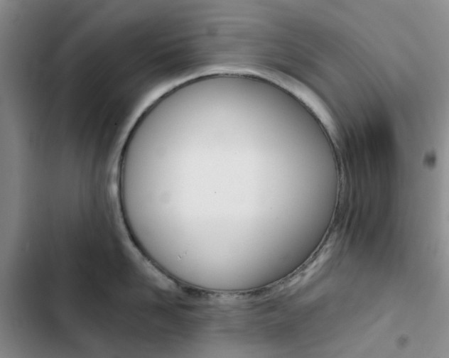 X0000103160958200808221149