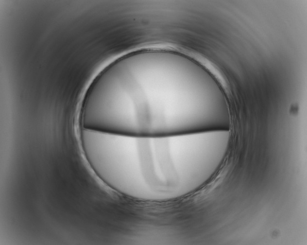 X0000103160959200808221149