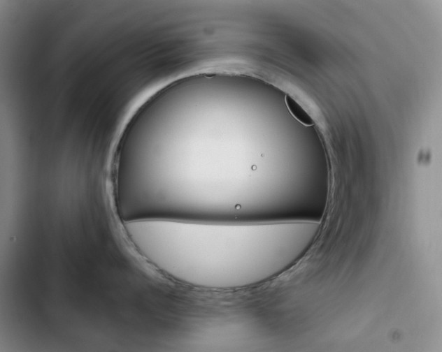 X0000103160960200808221149