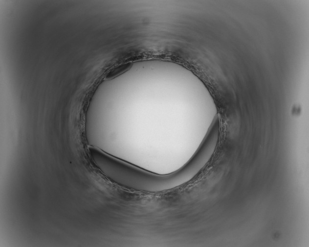 X0000103160961200808221148