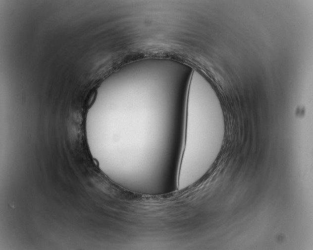 X0000103160964200808221148
