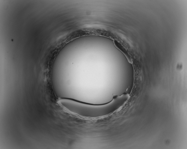 X0000103160965200808221148