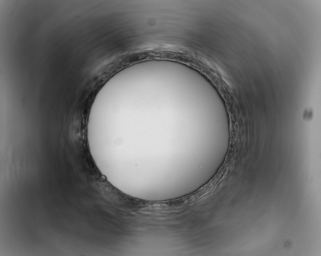 X0000103160966200808221148