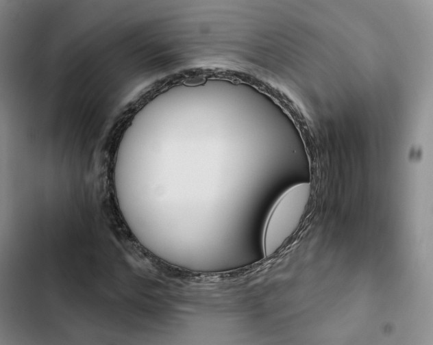 X0000103160968200808221148