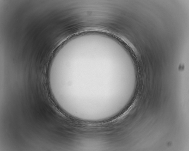 X0000103160969200808221148