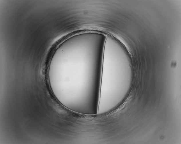 X0000103160971200808221148