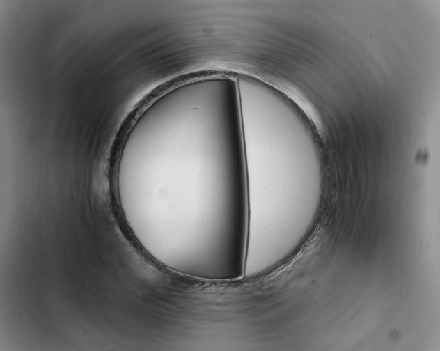 X0000103160972200808221148