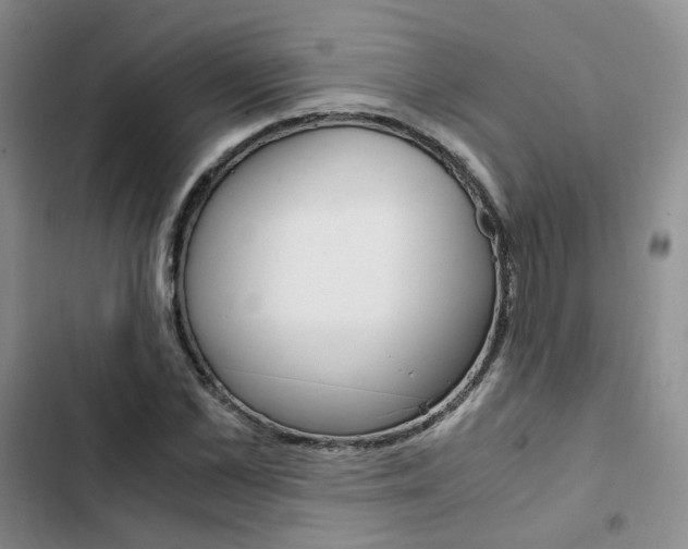 X0000103160973200808221148