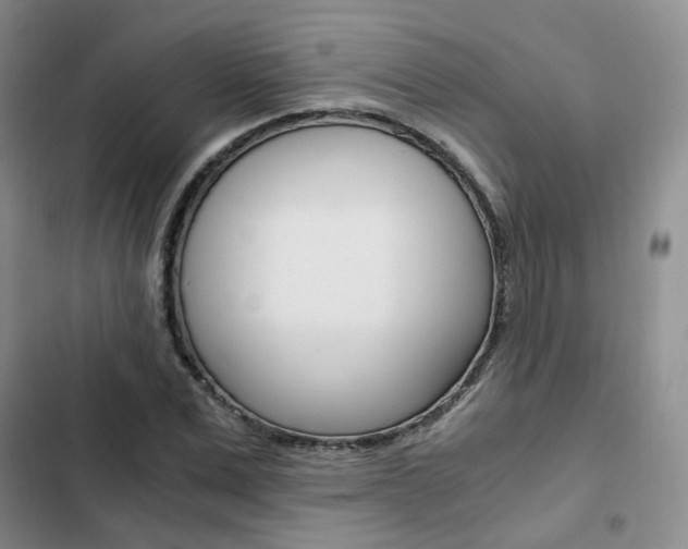 X0000103160975200808221148