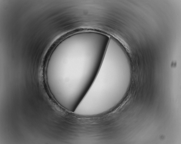 X0000103160976200808221148