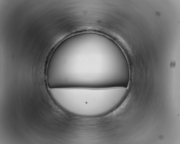 X0000103160977200808221148