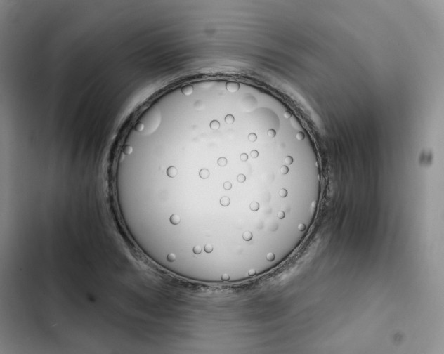 X0000103160978200808221148