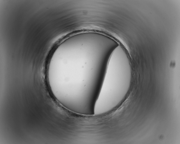 X0000103160979200808221148