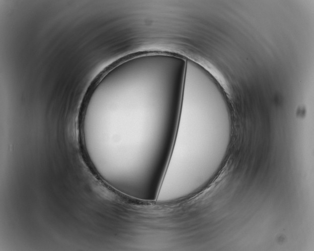 X0000103160980200808221148