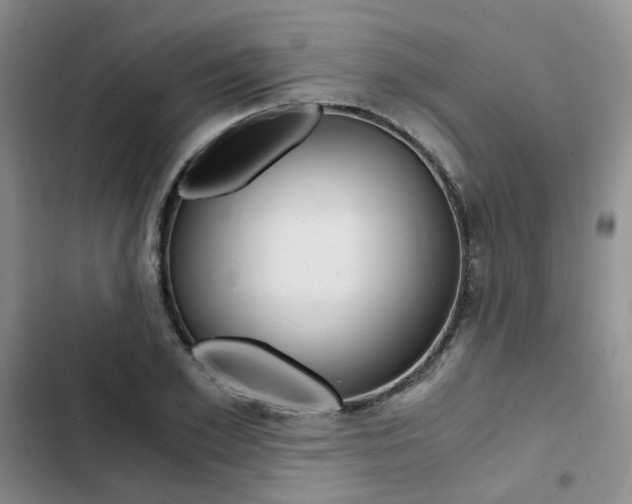 X0000103160981200808221148